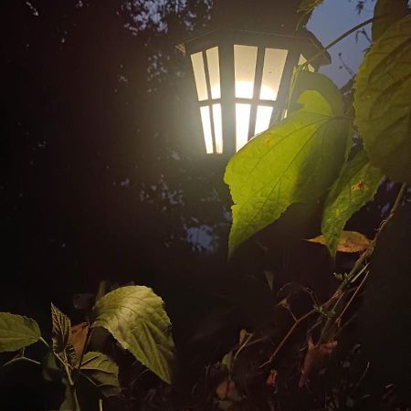 Hotel Aam'S Courtyard à Kalimpong Extérieur photo