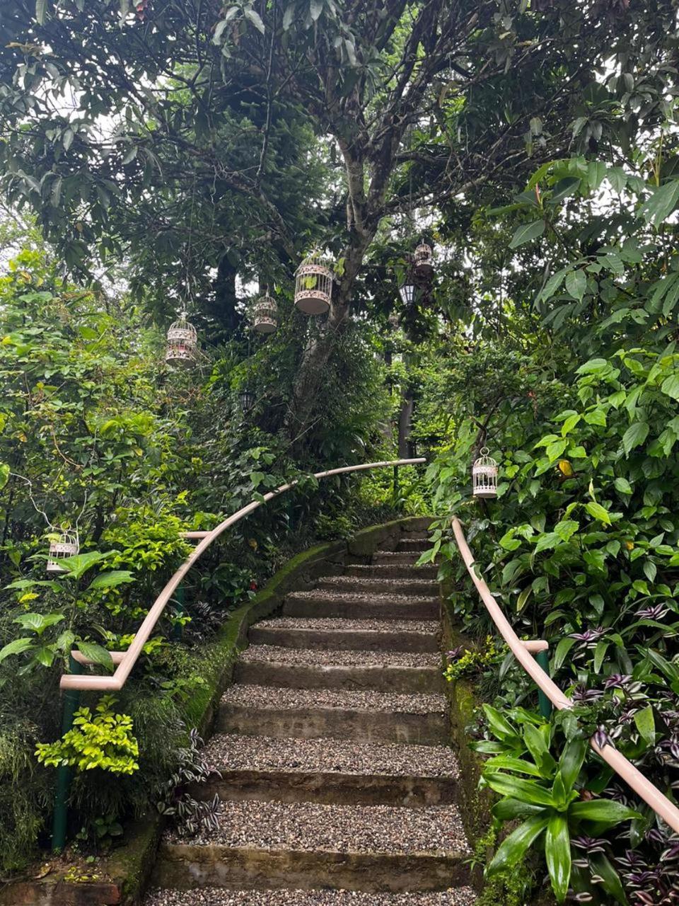 Hotel Aam'S Courtyard à Kalimpong Extérieur photo