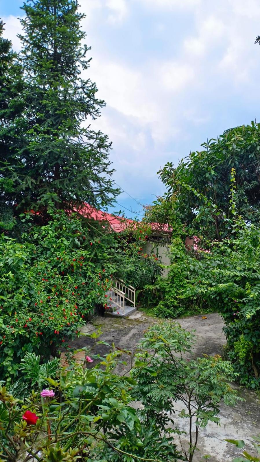 Hotel Aam'S Courtyard à Kalimpong Extérieur photo